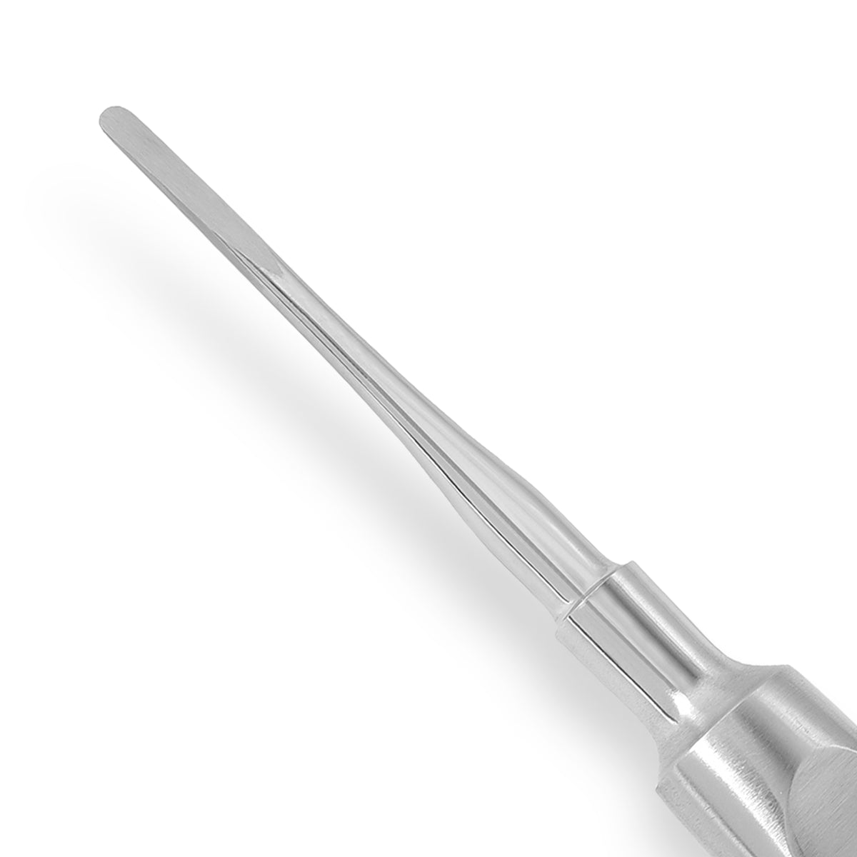 Root Elevator Warwick James Straight 2.5mm