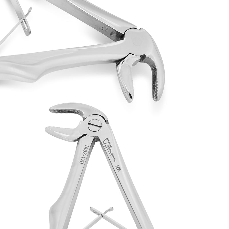 Paediatric Extraction Forceps, Children's Forceps Lower Roots #170